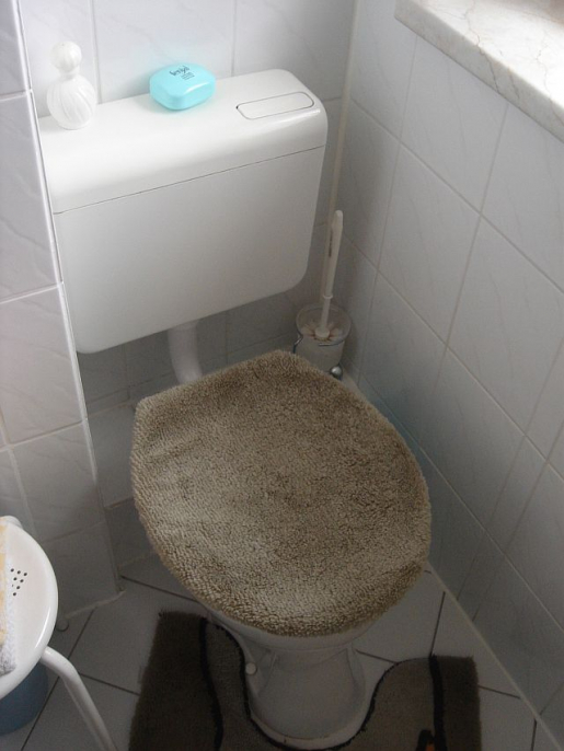 Stand WC vor der Badsanierung